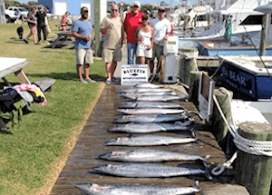 Charter group standing behind a dozen big Wahoo after an August offshore charter.