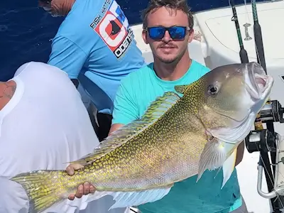 Angler shows off a beautiful nice tilefish