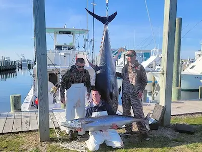Great catch of bluefin tuna and nice wahoo on the same day.
